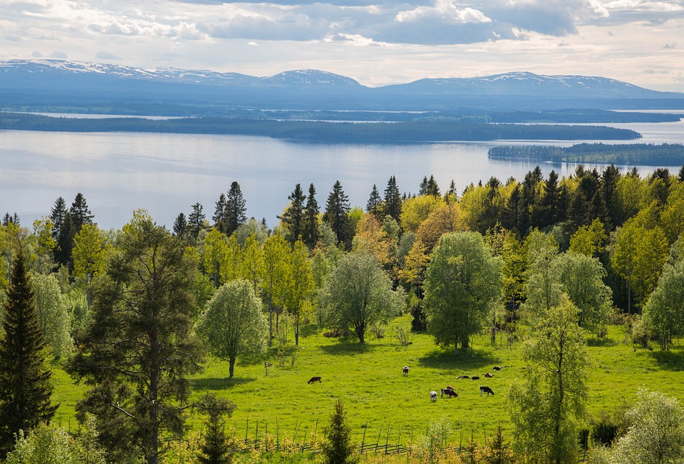 krásná švédská krajina v létě