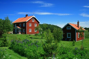 léto ve Švédsku, typické domky